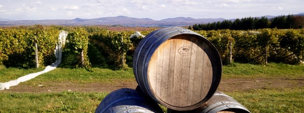Rallye Bières et Plaisirs 2016, une activité à ne pas manquer